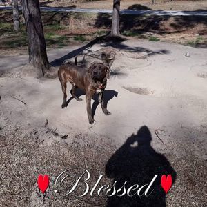 Meet your Posher, Veronica